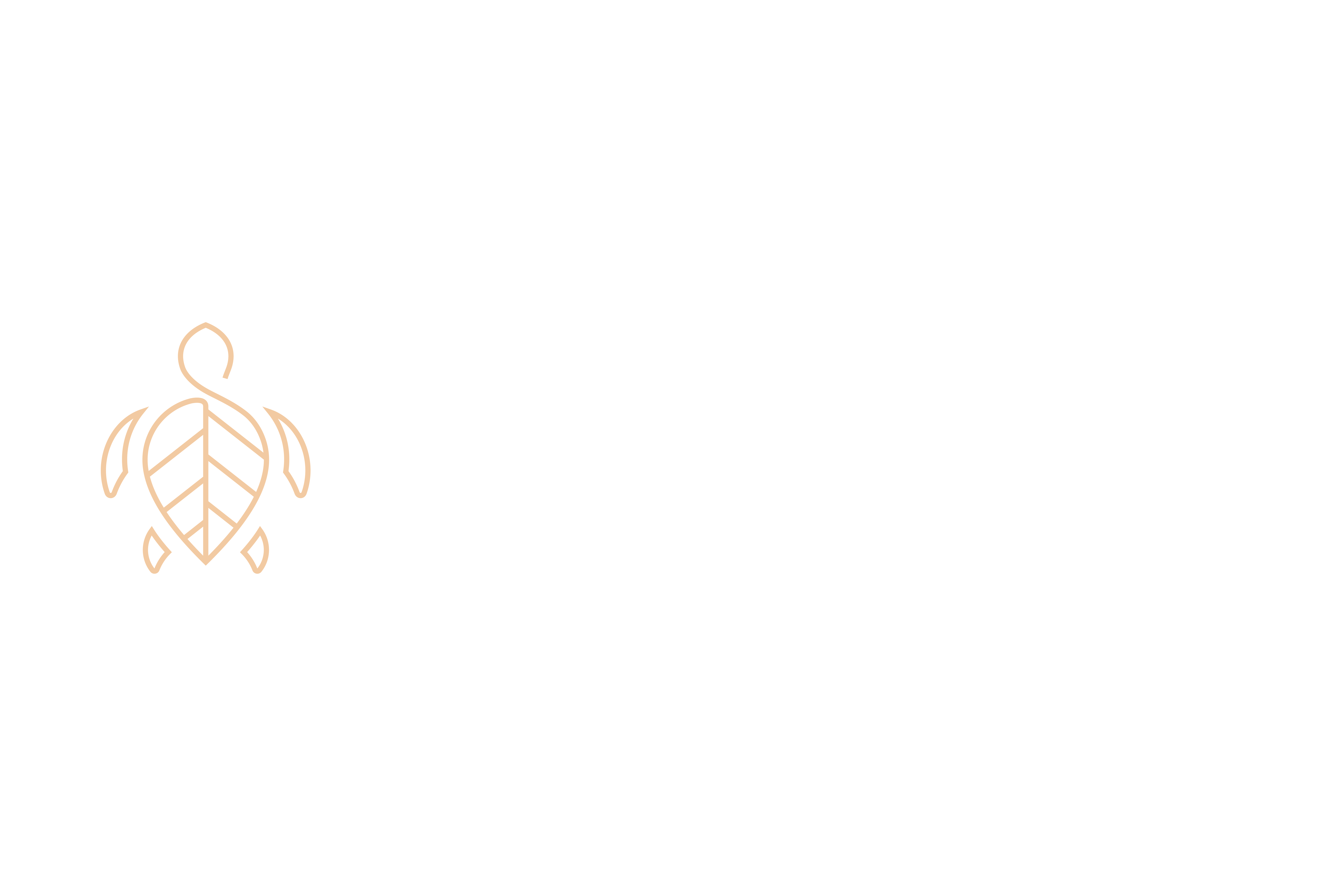 team_daya_logo